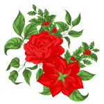 Image: Poinsettia