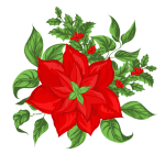 Image: Poinsettia