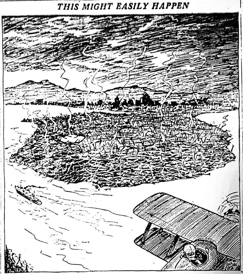 A Devastating History of Stanley Park 3 An artists depiction of was a fire could do to Stanley Park if all the debris left by the storm was left to dry out. Province, 11 February 1935