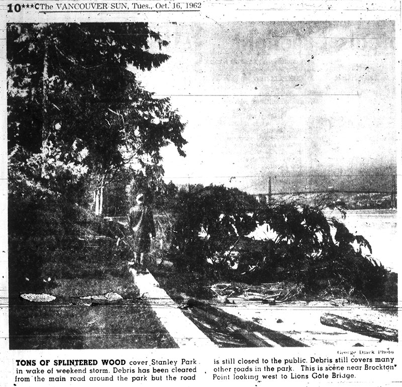 A Devastating History of Stanley Park 5 News photo showing damage to Stanley Park by Typhoon Freda. Vancouver Sun 16 October 1962