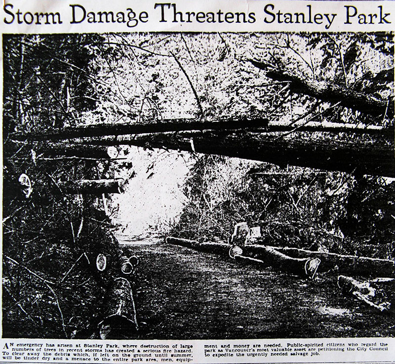 A Devastating History of Stanley Park 4 News photo showing storm damage to the Stanley Park forest. Province 8 February 1935