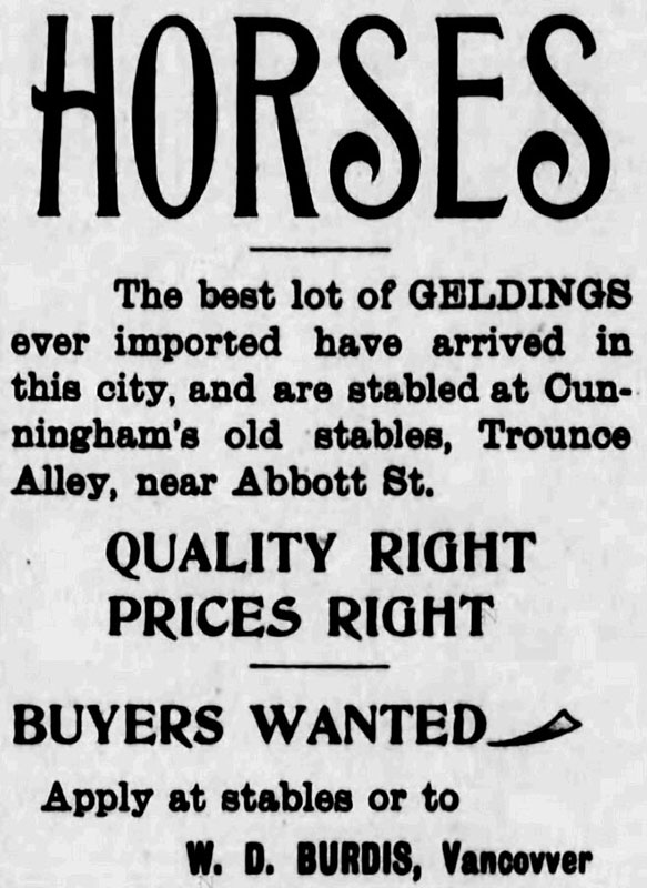 Horses for sale in Trounce Alley, Daily World, 3 April 1895 Horses for sale in Trounce Alley. Daily World 3 April 1895.