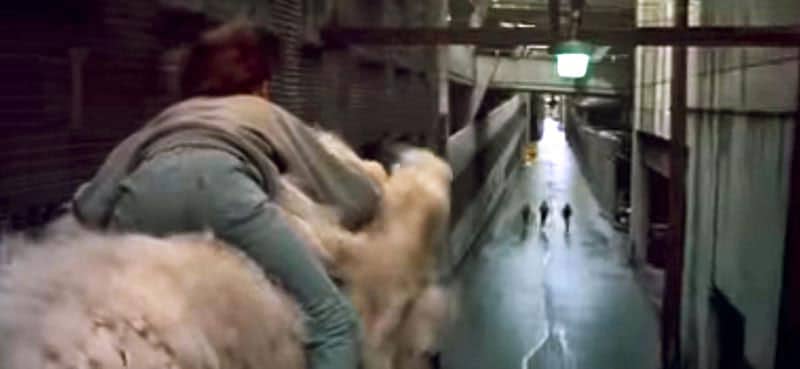 Trounce Alley scene from the 1984 film NeverEnding Story, looking east. Trounce Alley scene from the 1984 film, Neverending Story.