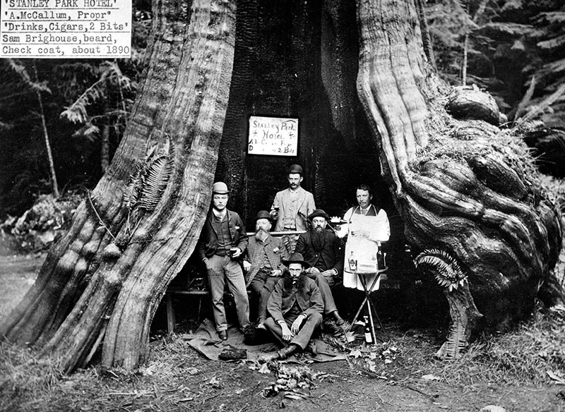 A Boozy History of Prohibition in Vancouver 1 "Stanley Park Hotel," a gag photo taken at the Hollow Tree, ca. 1890. City of Vancouver Archives #St Pk P34