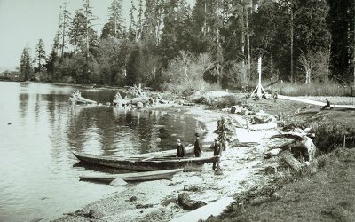 Lumberman's Arch Area Stanley Park 1910